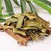 Dried Aloe Vera Peel (500g(1.10pounds)) 6 count (Pack of 1) - Buy Online on GoSupps.com