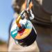 Rio Fly Fishing Tippet Headgate - 2X 6X Powerflex Tippet - Fishing Tackle Clear - Buy Online on GoSupps.com