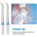 2Pcs Blue Replacement Jet Tips for Waterpik Flosser - Compatible with WP100, WP250, WP300, WP450, WP660, WP900 - Oral Irrigator Accessory - Buy Online on GoSupps.com