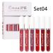 6Pcs Matte Lipgloss Kit - Long Lasting & Waterproof Velvet Liquid Lipstick Set (Color-04) - Buy Online on GoSupps.com