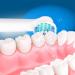 4 PCS Electric Toothbrush Head Electric Toothbrush Heads Tooth Brushes Pack Power Toothbrush Replacement Heads Precision Clean Toothbrush Heads Replacement Toothbrush Heads Compatible with Oral B - Buy Online on GoSupps.com