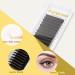 Volume Eyelash Extensions | Easy Fan Lashes | D Curl 0.07mm Rapid Self Blooming | 8-14mm Mix for Stunning Lashes - Buy Online on GoSupps.com
