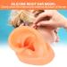 Silicone Left Ear Anatomy Model for Acupuncture Practice in Hospitals - Buy Online on GoSupps.com