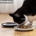 Pawdoer Ceramic Shallow Cat Dish 3 Pack - Whisker Fatigue Free Bowls for Short Legged Munchkin Cats in Blue, Yellow, and Pink - Buy Online on GoSupps.com