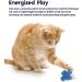 Petstages Catnip Oil Infused Dental Cat Toy Jack - Promotes Oral Health and Playfulness - Buy Online on GoSupps.com