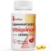 Liposomal CoQ10 Ubiquinol 600mg 60 Mini Softgels of High Strength Active Coenzyme Q10 Superior Absorption Non-GMO (Pack of 1) 60 Count (Pack of 1)