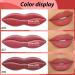 3Pcs Nude Pink Mauve Brown Matte Velvet Lipstick Set - Long Lasting Waterproof Smudge Proof 24-Hour Matte Lipstick - Lip Stain Makeup Set for Women - Buy Online on GoSupps.com