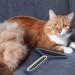 Portable Lint Razor & Animal Hair Remover | Effective Lint Brush for Clothes & Carpets - Ideal for Cat Hair & Fluff Removal - Buy Online on GoSupps.com