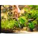 VORESTIC 25cm Curved Aquarium Scissors - Aquascaping Tools for Terrarium Plants - Buy Online on GoSupps.com