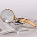 Magnifier Antique Handle 10X Reading Glass for Reading Book Recognition Gift Retro Microscope - Buy Online on GoSupps.com
