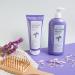 Clear Institute Violet Color Shampoo - Neutralizes Undesirable Tones for Colored Blond Bleached & Gray Hair | 96.6% Natural Ingredients | 400ml - Buy Online on GoSupps.com