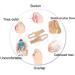 Bunion Corrector & Toe Separator Socks | Hallux Valgus Relief | Tailor's Bunion Foot Protection & Cushioning Solutions - International Shipping - Buy Online on GoSupps.com
