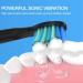 6 Pack Black Electric Toothbrush Replacement Heads for Fairywill FW-D1/D3/D7/D8- Compatible with FW-507/508/551/908/910/917/949/958/959/610/659/719 - Buy Online on GoSupps.com