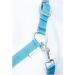 RL24 Nylon Halter BASICLINE - Turquoise/Aqua for Warmbloods | Durable & Stylish Equestrian Gear - Buy Online on GoSupps.com