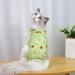 Cat Recovery Suit Cat Professional Recovery Suit Cat Suit Post Surgery Medical Care Cone Collar Alternatives Anti Licking Wound Cat Vest Bodysuit for Male Female Cats Kitten (Green M) M Green - Buy Online on GoSupps.com