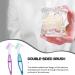 Ipetboom Prosthesis Cleaning Brush - 2-Piece Portable Tool for Care of Artificial Teeth - Green & Purple - Buy Online on GoSupps.com