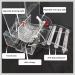 Automatic Foraging Bird Seed Feeder for Cage Parrot | Heavy Acrylic Construction | Easy One-Step Moulding Design - Buy Online on GoSupps.com