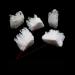 Natural Clear White Quartz Crystal Cluster Geode Gemstones Raw Specimen Home Decor 2-3cm Rocks - Buy Online on GoSupps.com