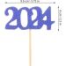 PRETYZOOM 12pcs 2024 Graduation Season Cake Insert Top Hat Cake Decoration Flag Dessert Wood - Buy Online on GoSupps.com