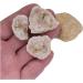 TRUSTTWO Unopened Natural Agate Geode Raw Quartz Mineral Energy Healing Crystal Rough Cluster Cave Gem Specimen Collection Bulk The New 1 PCS - Buy Online on GoSupps.com