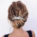 Handsess Bridal Wedding Flowers Hair Comb Silver Rhinestone Hairpieces Leaf Bridal Side Combs Pearl Wedding Hair Accessories for Women and Girls - Buy Online on GoSupps.com