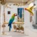 MEISH Chicken Swing Wooden Toys Chicken Hanging Swings Toys Climbing Stand Ladder Safe Wooden Ladder for Hens Bird Parrot - Buy Online on GoSupps.com