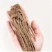 Angelica Sinensis Root Dong Quai (1000g(35.27oz)) 8 count (Pack of 1) - Buy Online on GoSupps.com