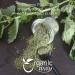 Organic Nettle Leaf Powder - Herbal Tea | USDA Certified | Non GMO & Gluten Free | 1LB (16oz) Pack - Albania Origin - Buy Online on GoSupps.com