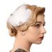 GENBREE 1920s Flapper Headband White Feather Hair Clip Gatsby Headpiece Prom Party Hair Accessories for Women and Girls Pattern 1