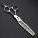 Japan 440 C Hair Salon Tool Set - Professional 6 Hair Cutting & Thinning Scissors for Stylists - Buy Online on GoSupps.com
