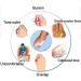 KEDY Gel Bunion Guard & Toe Separator | Pain Relief for Hallux Valgus & Crooked Toes | Shop Internationally - Buy Online on GoSupps.com