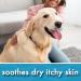 Oatmeal Aloe Vera Dog Shampoo for Dry Itchy Flaky Skin Gentle on Sensitive Skin & Hypoallergenic | Natural Soothing Anti Itch Anti Dandruff & Allergy Relief Dog Conditioner | Pikes Pouches (300ml) 300 ml (Pack of 1) - Buy Online on GoSupps.com