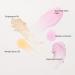 Stemcell Fairness Facial Kit | Alp Rose & Mulberry | All Skin Types | International Shipping - Buy Online on GoSupps.com