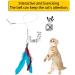 12 PCS Feather Teaser Cat Toy 2 Pcs Retractable Interactive Cat Teaser Rods 10 Pcs Replacement Colorful Feather Refills with Bells Feather Dangler Funny Exercise for Indoor Cat Kitten Catcher - Buy Online on GoSupps.com
