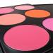 FantasyDay Professional 6 Colors Face Powder Blush Palette - Perfect Makeup Set for Professionals & Personal Use | Shop Now! - Buy Online on GoSupps.com