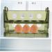 Mikinona Egg Holder Egg Storage Box Plastic Trays s Eggs Holder Egg Tray Egg Box Multi-layer Clamshell - Buy Online on GoSupps.com