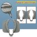 Vegetable Finger Protector Safe Finger Protector Cutting AccessoriesErgonomic Nonslip Kitchen Tools for Food Preparing Vegetables Cutting Suitable for Home and Catering - Buy Online on GoSupps.com