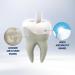 Biorepair Pro Plus White Toothpaste 75ml - Achieve a Natural White Smile | International Shipping Available - Buy Online on GoSupps.com