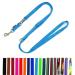Dog leash double leash adjustable 2m / 2.40m / 2.80m / 3.50m / 5m large dogs 20mm/25mm (turquoise 20mm 5m) turquoise 20mm 5m