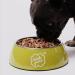 Buy Irish Pure Premium Wet Dog Food - Freiland-Huhn 12x390g Cereal-Free Sensitive with Superfood Kelp | All Breeds - Buy Online on GoSupps.com