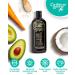 Caribbean Breeze Golden Carrot Tanning Accelerator Lotion | Natural Sun Tan Enhancer with Pomegranate & Aloe | Moisturizing & Anti-Aging | 8.5 oz - Buy Online on GoSupps.com