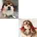 Funny Dog Wig & Cat Role Play Wig - Perfect for Halloween Christmas & Parties - Brown Costumes for Small Medium & Large Pets - Buy Online on GoSupps.com