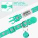 Shop Tagme Cat Neck Band - 2-Pack Reflective Collars with Safety Lock & Bell - Custom Name & Address Shield for Cats & Puppies - Turquoise 18-28 cm - Buy Online on GoSupps.com