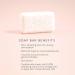 Lucy Bee Spearmint Basil & Clove Natural Exfoliating Soap Bar For Hands & Body Palm Oil Free Certified Organic Fair Trade Vegan Cruelty Free Ethical Best Buy 150g - Buy Online on GoSupps.com