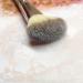 Double End Complexion Brush - Dual Ended Rose Gold Makeup Brush for Face Powder Liquid Foundation Concealer & Eyeshadow - Buy Online on GoSupps.com