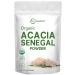 Organic Acacia Senegal Powder, 2 Pounds (32 Ounce), Instant Soluble Fiber Powder, Plant-Based Prebiotic Superfood for Gut Health, Non-GMO, No Gluten, Vegan 1