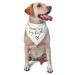 vercosee Promoted to Big Brother Dog Bandana Gender Reveal Dog Bandana Reversible,Photo Props Accessories,Gift for Dog Lover Owner (White)