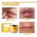 Bee Balm Lip Honey Pot - Nourishing Lip Care with Honey & Propolis for Moisturizing & Preventing Cracked Lips - Buy Online on GoSupps.com