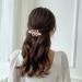 Sparkly Jeweled Butterfly Barrettes - 4 Pack Luxury Crystal Rhinestone Hair Clips - Buy Online on GoSupps.com