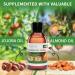 KitaMa Orange Aroma Massage Oil - 1000ml Nourishing Body Care | Thai Relaxation Oil for Massages - Buy Online on GoSupps.com